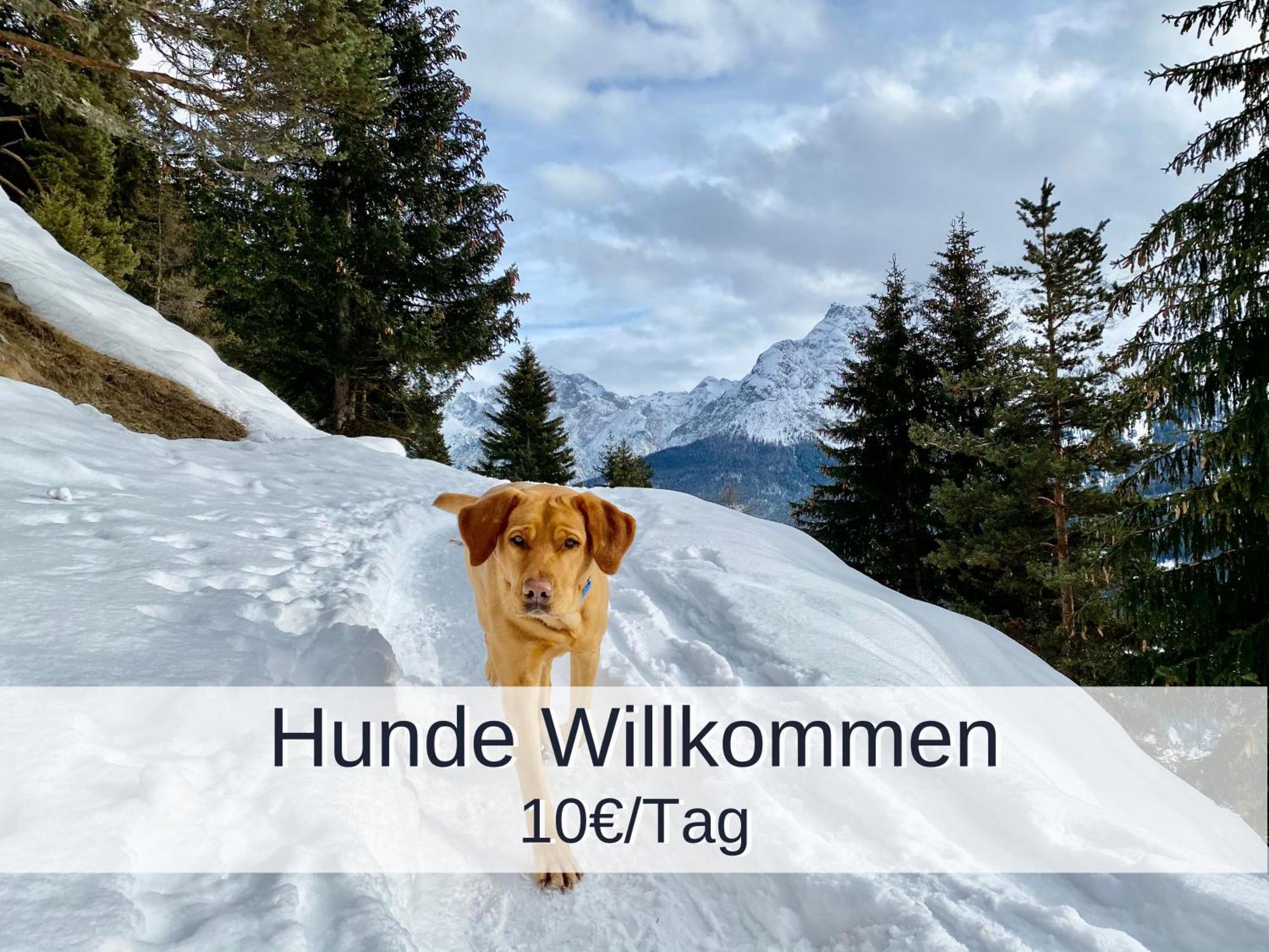 Ferienwohnung Rambold Sonnenterrasse Garmisch-Partenkirchen Exteriör bild